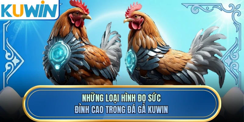 Những loại hình đọ sức đỉnh cao trong đá gà KUWIN